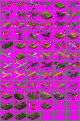 Click image for larger version

Name:	ww2mearsh.gif
Views:	397
Size:	71.4 KB
ID:	8989157