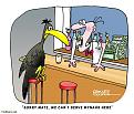 Click image for larger version

Name:	1mynahs.jpg
Views:	72
Size:	45.1 KB
ID:	8993782