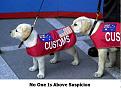Click image for larger version

Name:	customdog.jpg
Views:	151
Size:	86.7 KB
ID:	8994310