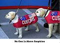 Click image for larger version

Name:	customdog.jpg
Views:	126
Size:	86.7 KB
ID:	8994310