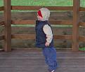 Click image for larger version

Name:	untitled.jpg
Views:	129
Size:	44.5 KB
ID:	8994461