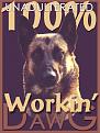 Click image for larger version

Name:	dawg.jpg
Views:	141
Size:	39.4 KB
ID:	8994642