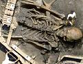 Click image for larger version

Name:	giant bones.jpg
Views:	210
Size:	60.5 KB
ID:	8994695