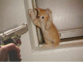 Click image for larger version

Name:	gun_control.gif
Views:	159
Size:	52.6 KB
ID:	8994870