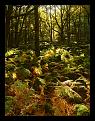 Click image for larger version

Name:	scotto_at_peace_with_nature_by_scotto.jpg
Views:	93
Size:	409.6 KB
ID:	8994896