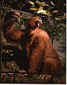 Click image for larger version

Name:	sloth2.jpg
Views:	215
Size:	15.3 KB
ID:	8994930