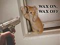 Click image for larger version

Name:	kitten_wax.jpg
Views:	108
Size:	34.4 KB
ID:	8994941
