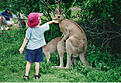 Click image for larger version

Name:	normal_animal%20sex%20%28kangaroo%20feeding%29.jpg
Views:	96
Size:	41.8 KB
ID:	8996558