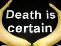 Click image for larger version

Name:	banana-death.jpg
Views:	344
Size:	44.3 KB
ID:	8997467