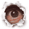 Click image for larger version

Name:	eye_6_2kb.gif
Views:	128
Size:	6.2 KB
ID:	8997619