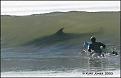 Click image for larger version

Name:	shark.jpg
Views:	395
Size:	21.7 KB
ID:	9002424