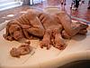 Click image for larger version

Name:	dogofaday.jpg
Views:	405
Size:	18.5 KB
ID:	9002481