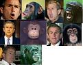 Click image for larger version

Name:	bush_chimp.jpg
Views:	125
Size:	38.2 KB
ID:	9002549