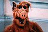 Click image for larger version

Name:	alf.gif
Views:	122
Size:	55.8 KB
ID:	9002650