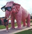 Click image for larger version

Name:	elephant50.jpg
Views:	166
Size:	42.1 KB
ID:	9002754