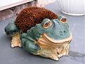 Click image for larger version

Name:	shoebrush_frog.jpg
Views:	210
Size:	35.1 KB
ID:	9002819