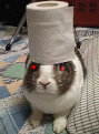 Click image for larger version

Name:	paperbit.gif
Views:	186
Size:	410.4 KB
ID:	9003147