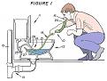 Click image for larger version

Name:	toilet snorkel.jpg
Views:	328
Size:	29.3 KB
ID:	9003307