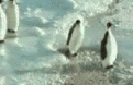 Click image for larger version

Name:	image001.gif
Views:	273
Size:	444.0 KB
ID:	9003355