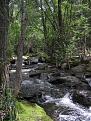 Click image for larger version

Name:	creek.jpg
Views:	351
Size:	89.1 KB
ID:	9003643