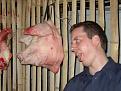 Click image for larger version

Name:	5piggreg.jpg
Views:	118
Size:	127.4 KB
ID:	9003796