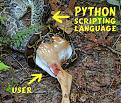 Click image for larger version

Name:	pythonpolly2.jpg
Views:	275
Size:	134.1 KB
ID:	9004031