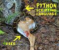 Click image for larger version

Name:	pythonpolly2.jpg
Views:	265
Size:	134.1 KB
ID:	9004031