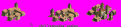 Click image for larger version

Name:	crusader.png
Views:	262
Size:	9.2 KB
ID:	9004193