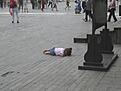 Click image for larger version

Name:	savannah meltdown 2.jpg
Views:	57
Size:	341.7 KB
ID:	9004421