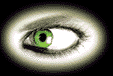 Click image for larger version

Name:	auge_l-teil_18_9kb.gif
Views:	82
Size:	18.9 KB
ID:	9004640