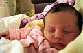 Click image for larger version

Name:	josie3.jpg
Views:	156
Size:	89.0 KB
ID:	9004766