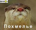 Click image for larger version

Name:	hangover.jpeg
Views:	131
Size:	17.1 KB
ID:	9004946
