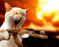 Click image for larger version

Name:	image001.gif
Views:	75
Size:	95.8 KB
ID:	9004986