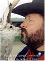 Click image for larger version

Name:	jackalope03.jpg
Views:	120
Size:	57.3 KB
ID:	9005274