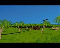 Click image for larger version

Name:	pix2.jpg
Views:	126
Size:	53.8 KB
ID:	9009926