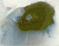 Click image for larger version

Name:	libya2.gif
Views:	256
Size:	126.2 KB
ID:	9009943