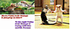 Click image for larger version

Name:	cats-01.gif
Views:	117
Size:	105.0 KB
ID:	9010308