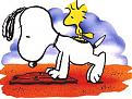 Click image for larger version

Name:	snoopy01.jpg
Views:	197
Size:	17.6 KB
ID:	9011328