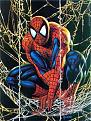 Click image for larger version

Name:	spider-man.jpg
Views:	195
Size:	90.1 KB
ID:	9011343