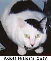 Click image for larger version

Name:	adolf-hitler-cat.jpg
Views:	133
Size:	35.3 KB
ID:	9012935
