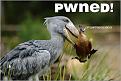 Click image for larger version

Name:	pwned.jpg
Views:	144
Size:	27.9 KB
ID:	9012960
