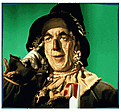 Click image for larger version

Name:	scarecrow_oz.gif
Views:	111
Size:	33.8 KB
ID:	9013240