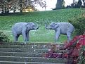 Click image for larger version

Name:	elephants.jpg
Views:	223
Size:	154.5 KB
ID:	9013258
