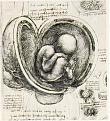 Click image for larger version

Name:	womb.jpg
Views:	131
Size:	87.4 KB
ID:	9014212
