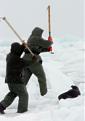 Click image for larger version

Name:	050401_seal_hunt_c_03.jpg
Views:	176
Size:	13.7 KB
ID:	9014352