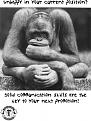 Click image for larger version

Name:	unhappy-position.jpg
Views:	175
Size:	103.6 KB
ID:	9018302