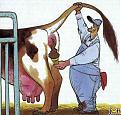 Click image for larger version

Name:	cowcream.jpg
Views:	122
Size:	32.7 KB
ID:	9018353