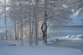 Click image for larger version

Name:	winterland01.gif
Views:	137
Size:	212.9 KB
ID:	9018551