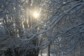 Click image for larger version

Name:	winterland02.gif
Views:	127
Size:	243.1 KB
ID:	9018552