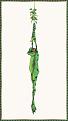 Click image for larger version

Name:	bullaswill-themistletoad-sj.jpg
Views:	224
Size:	87.0 KB
ID:	9018645